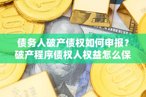北京债务人破产债权如何申报？破产程序债权人权益怎么保障？
